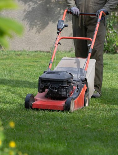 cortacesped haciendo jardinería profesional en un jardín