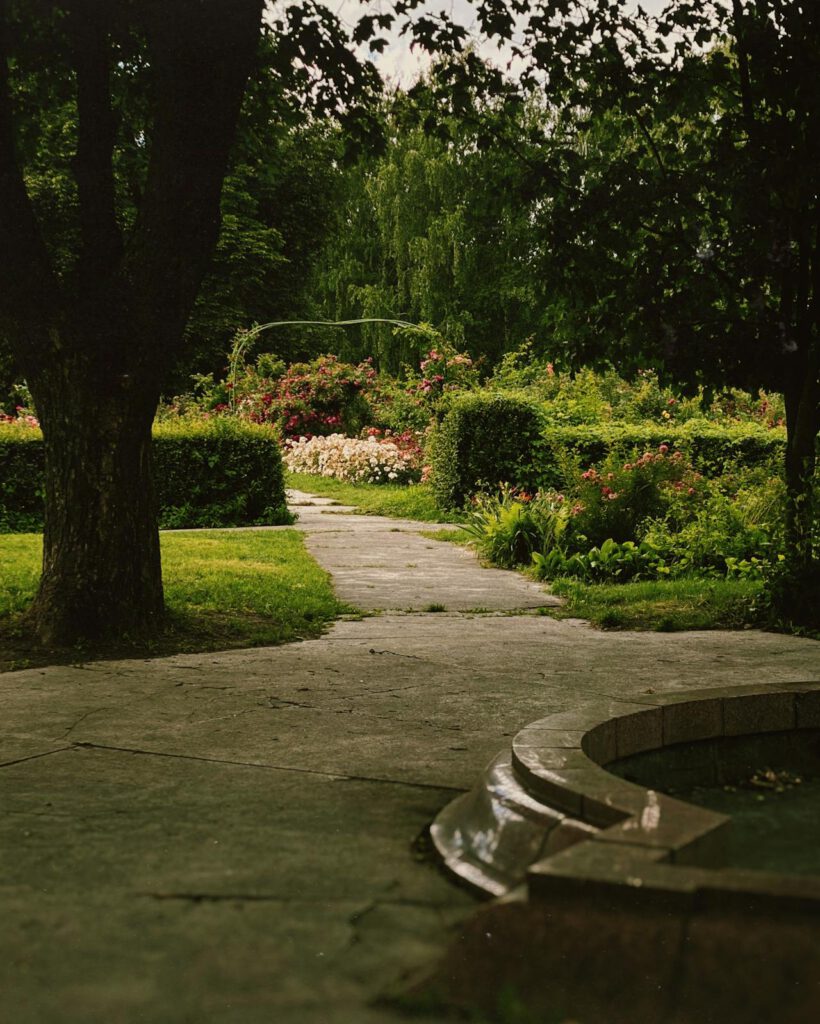 jardín de empresa de jardinería en Cádiz