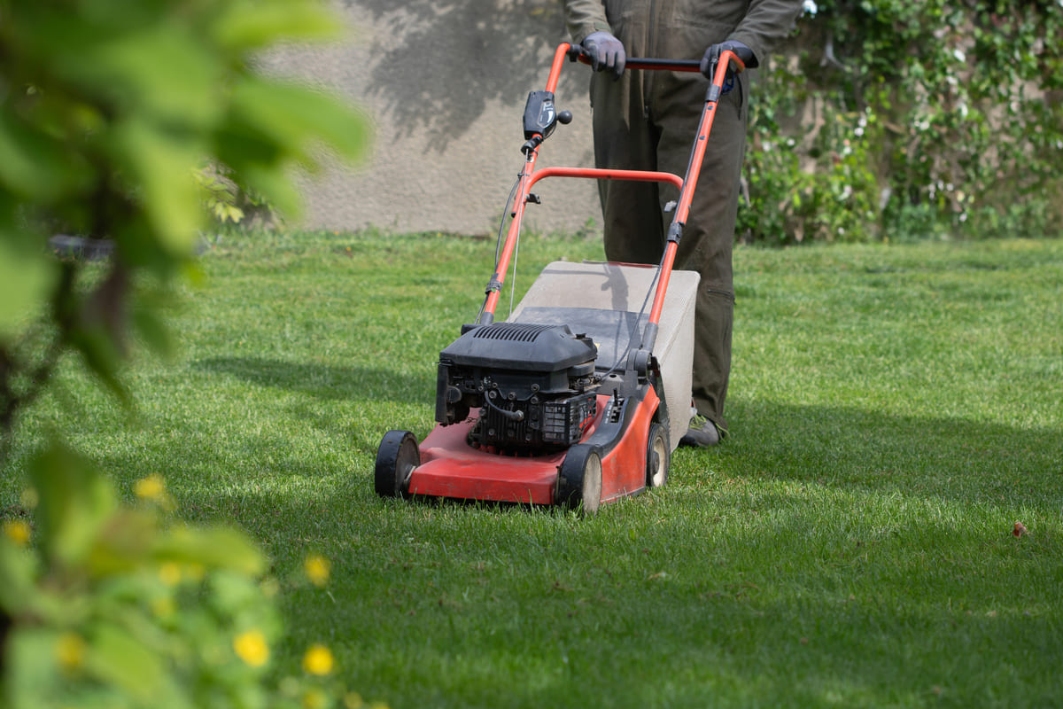 cortacesped haciendo jardinería profesional en un jardín