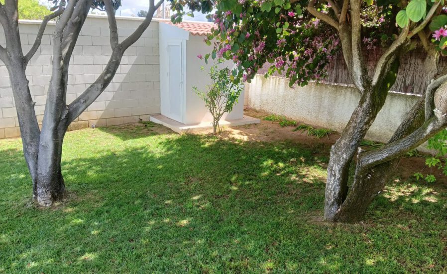 un jardín bien cuidado gracias al servicio de jardinería profesional
